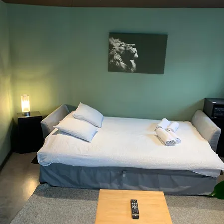 Appartement Froissart Loft *