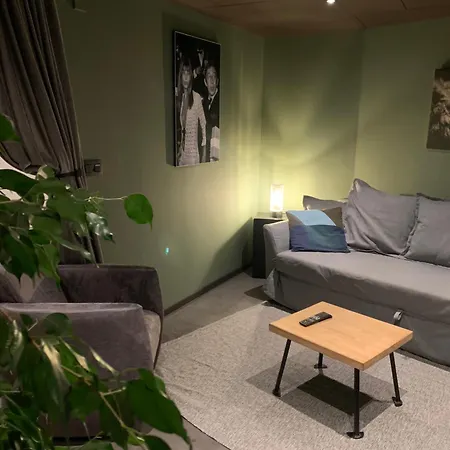 Froissart Loft Appartement *
